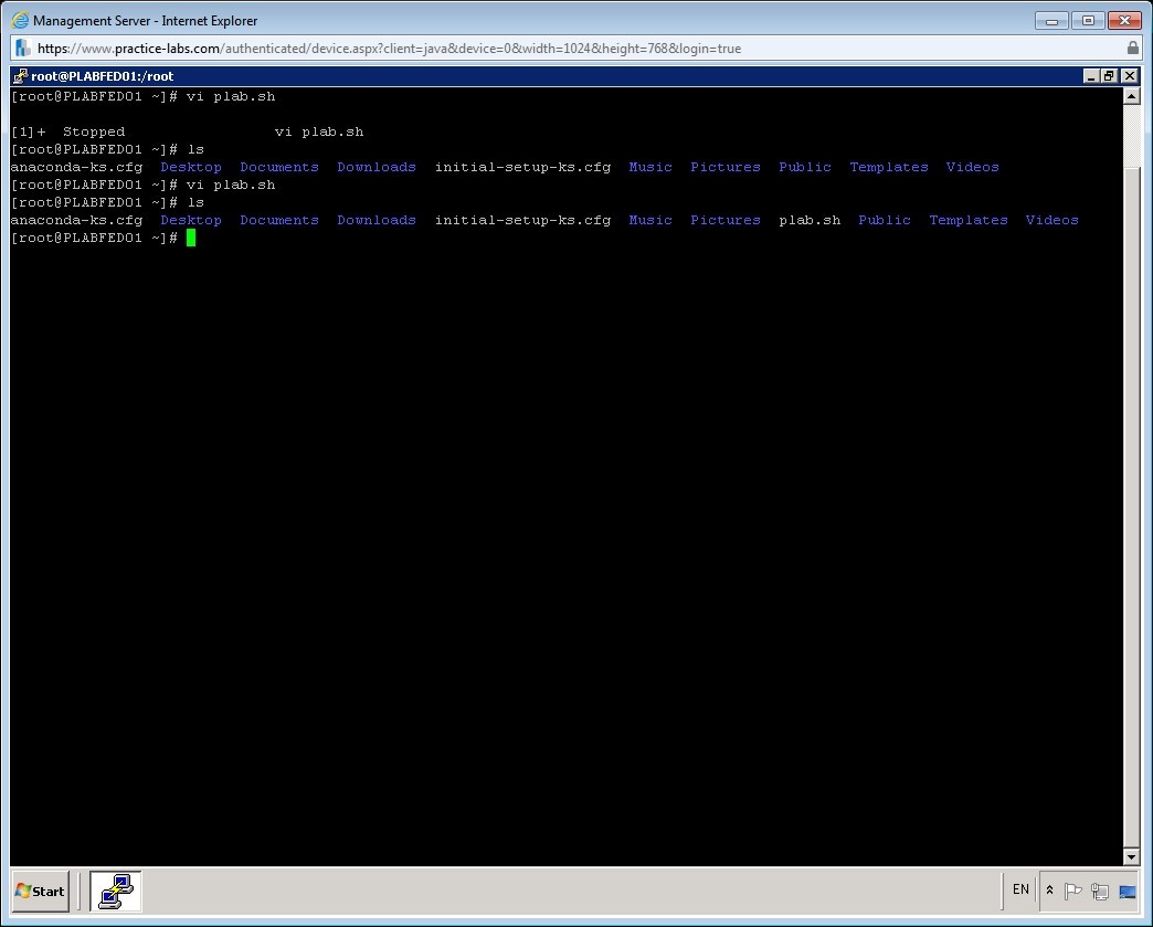 Practice Labs screenshot.